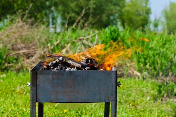 Firewood in the brazier
