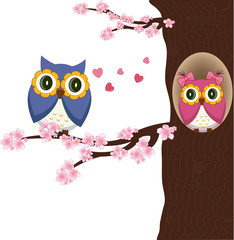 Fototapeta premium Owls on the tree