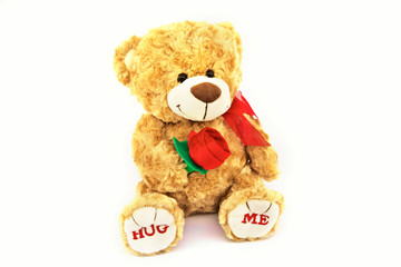 Hug me teddy bear holding a rose gift toy play child