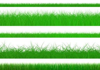 Green Grass Set isolated on white background