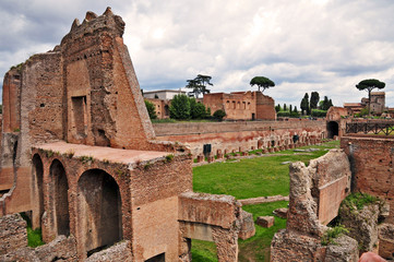 Roma, rovine del Monte Palatino - palazzi imperiali - obrazy, fototapety, plakaty