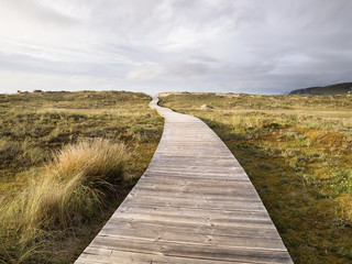 Fototapeta premium Wooden footbridge in a meadow