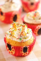 Cupcakes with whipped cream