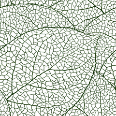 Obraz premium Fresh green leaves background - vector illustration