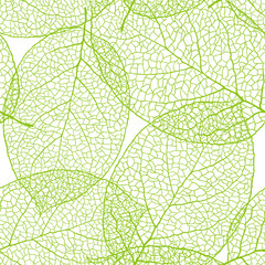 Naklejka na ściany i meble Świeże zielone liście tle - ilustracji wektorowych