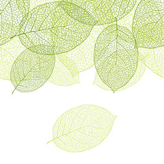 Fresh green leaves background - vector illustration