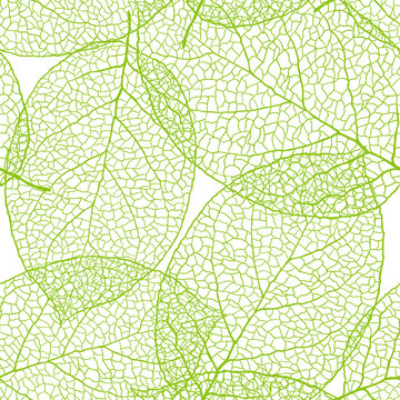 Fresh green leaves background - vector illustration