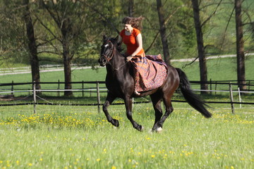 galopp im rock