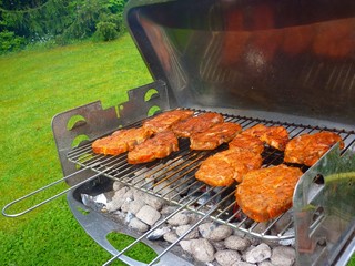 grillen im garten