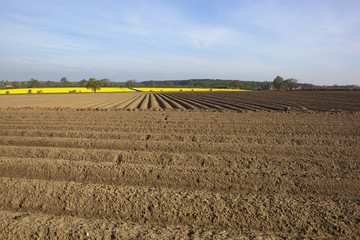 arable fieldscape