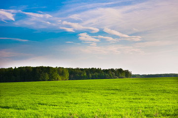 Obraz premium prairie landscape and sky