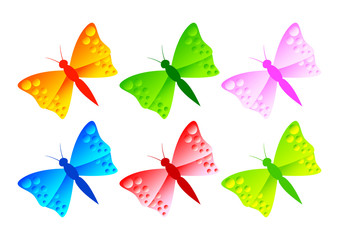 Colorful butterflies on white background