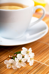 Fototapeta na wymiar Tea with flower