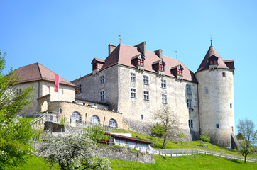 Fototapeta na wymiar Widok na Zamek Gruy?res, Szwajcaria