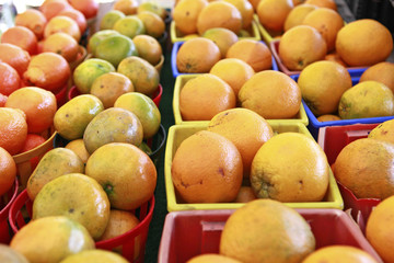 containers of oranges