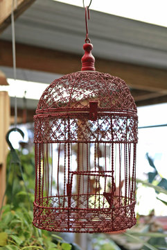 Vintage Bird Cage