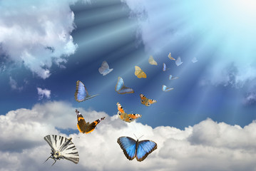 Fototapety na wymiar - Fototapeta24.pl