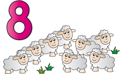 eight number