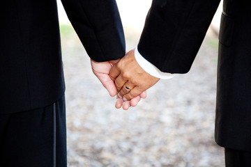 Gay Marriage - Holding Hands Closeup
