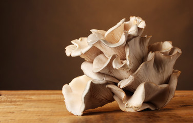 oyster mushrooms wooden table on brown background