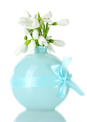 beautiful bouquet of snowdrops in blue vase isolated on white