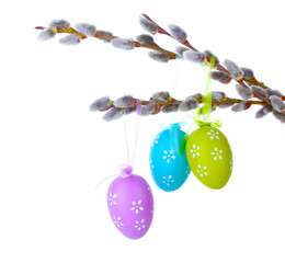 pussy-willow twigs with Easter eggs isolated on white