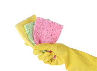 Gloved hand with colorful sponges on white