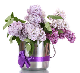 beautiful lilac flowers in metal bucket isolated on white