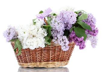 beautiful lilac flowers in basket isolated on white