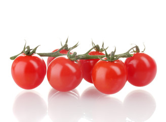 Beautiful cherry tomatoes on a branch isolated on white