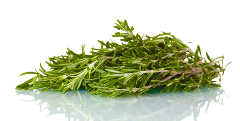 fresh green rosemary isolated on white