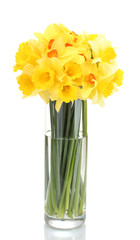 beautiful yellow daffodils in transparent vase isolated on white