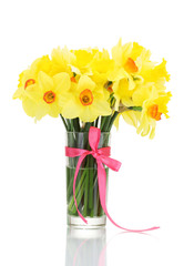 beautiful yellow daffodils in transparent vase with bow isolated