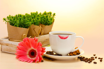 cup of coffee with lipstick mark and gerbera beans, cinnamon