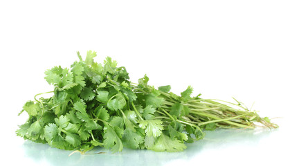 coriander isolated on white