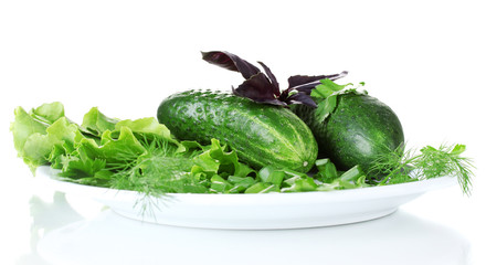 Composition of various herbs on a white plate isolated on white