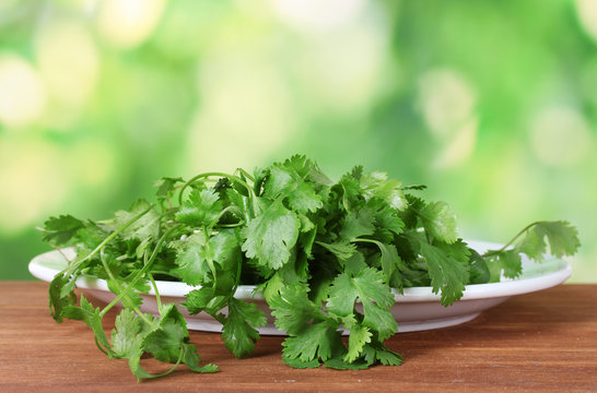Coriander in a white plate on green background