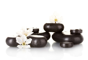 Black spa stones with flowers and petals isolated