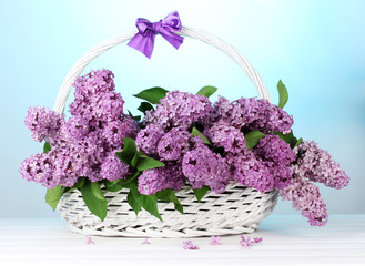 beautiful lilac flowers in basket on blue background