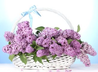 Fototapeta na wymiar beautiful lilac flowers in basket on blue background