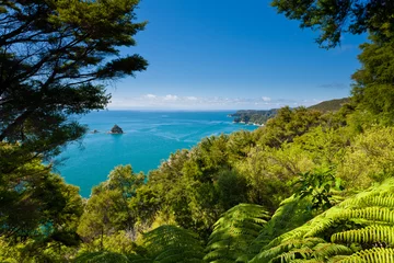 Foto op Plexiglas Subtropical forest of Abel Tasman NP, New Zealand © PiLensPhoto