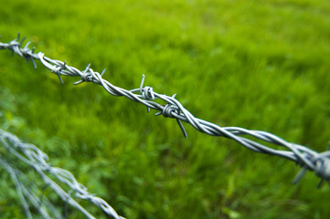 Barbed wire fence