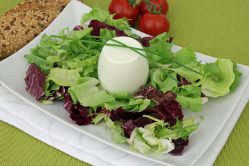 Schafkäse