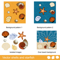 Vector shells and starfish