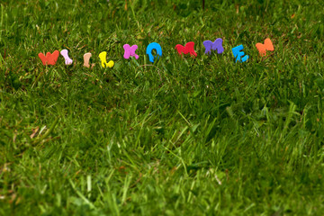 das wort willkommen auf gras im fr&uuml;hling