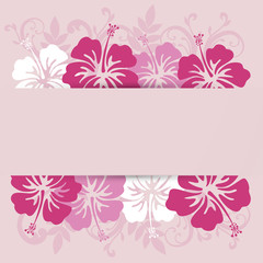 hibiscuses background frame