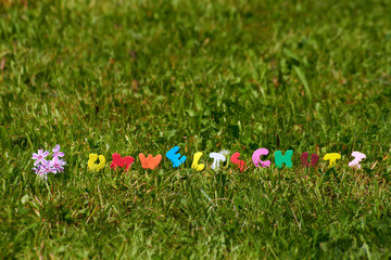 das wort umweltschutz mit einer blume auf einer wiese