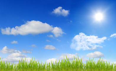 Fototapeta na wymiar Panorama z nieba słońce i trawy