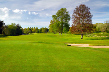 Plakat Idylliczny krajobraz pole golfowe