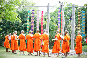 Naklejka premium monk learning